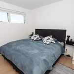 5 Star In