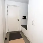 5 Star In *